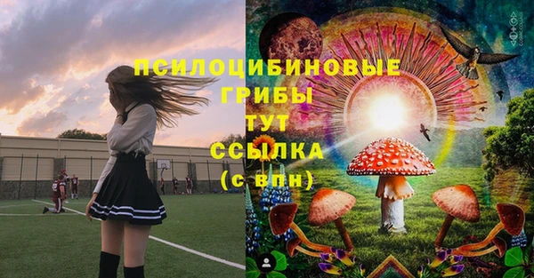 трава Дмитров